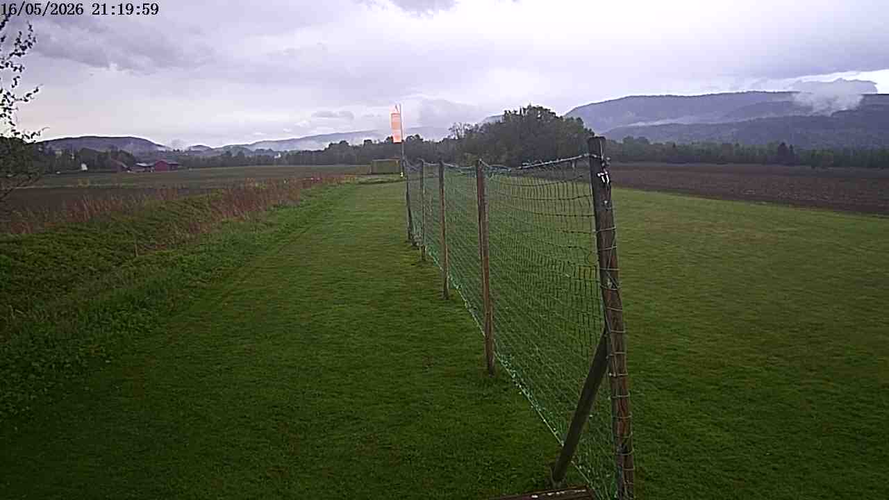 Webcam img missing