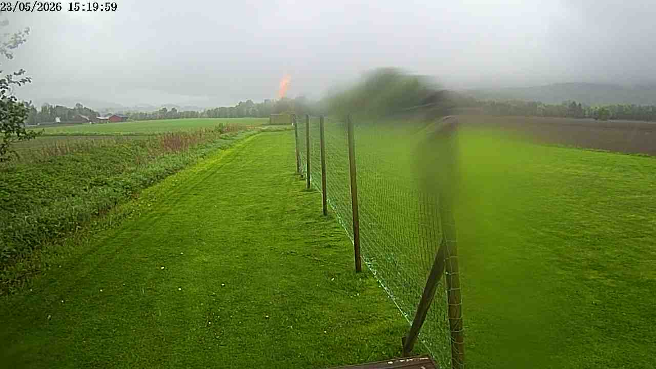 Webcam img missing