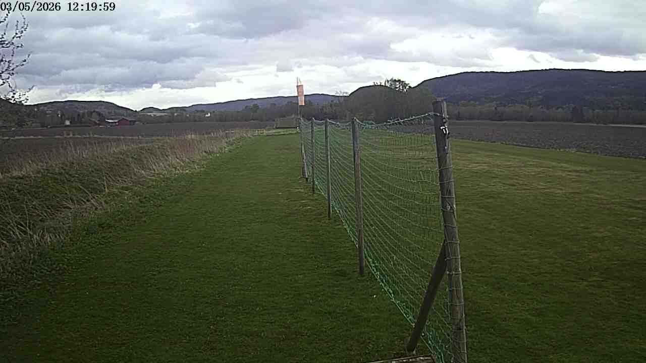 Webcam img missing