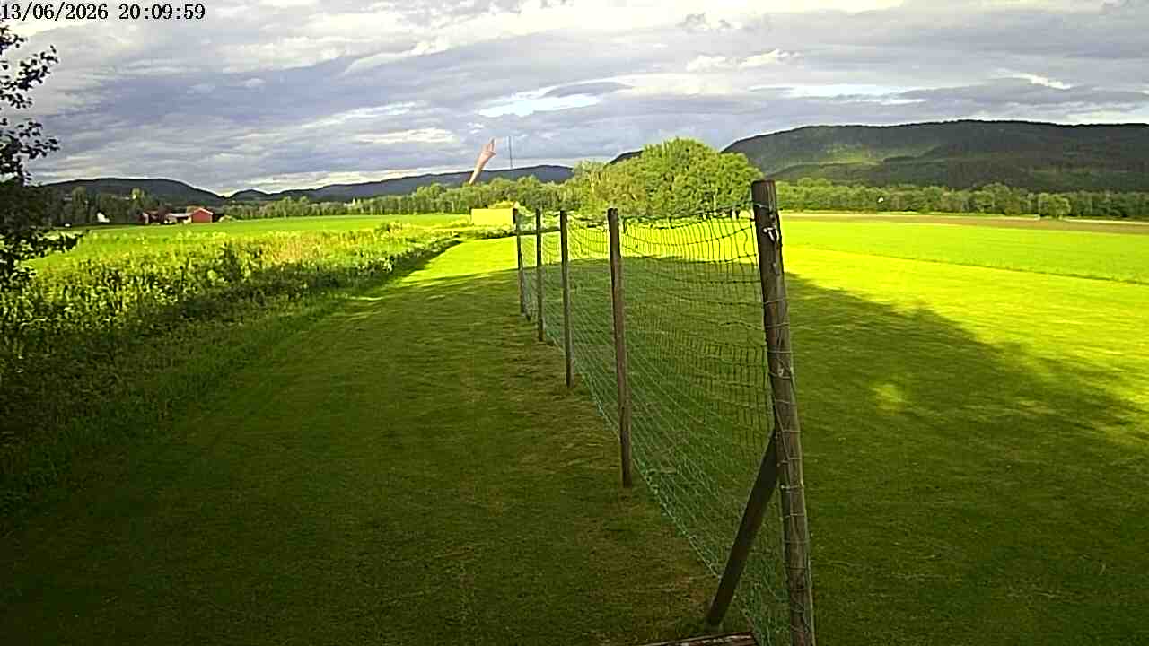 Webcam img missing