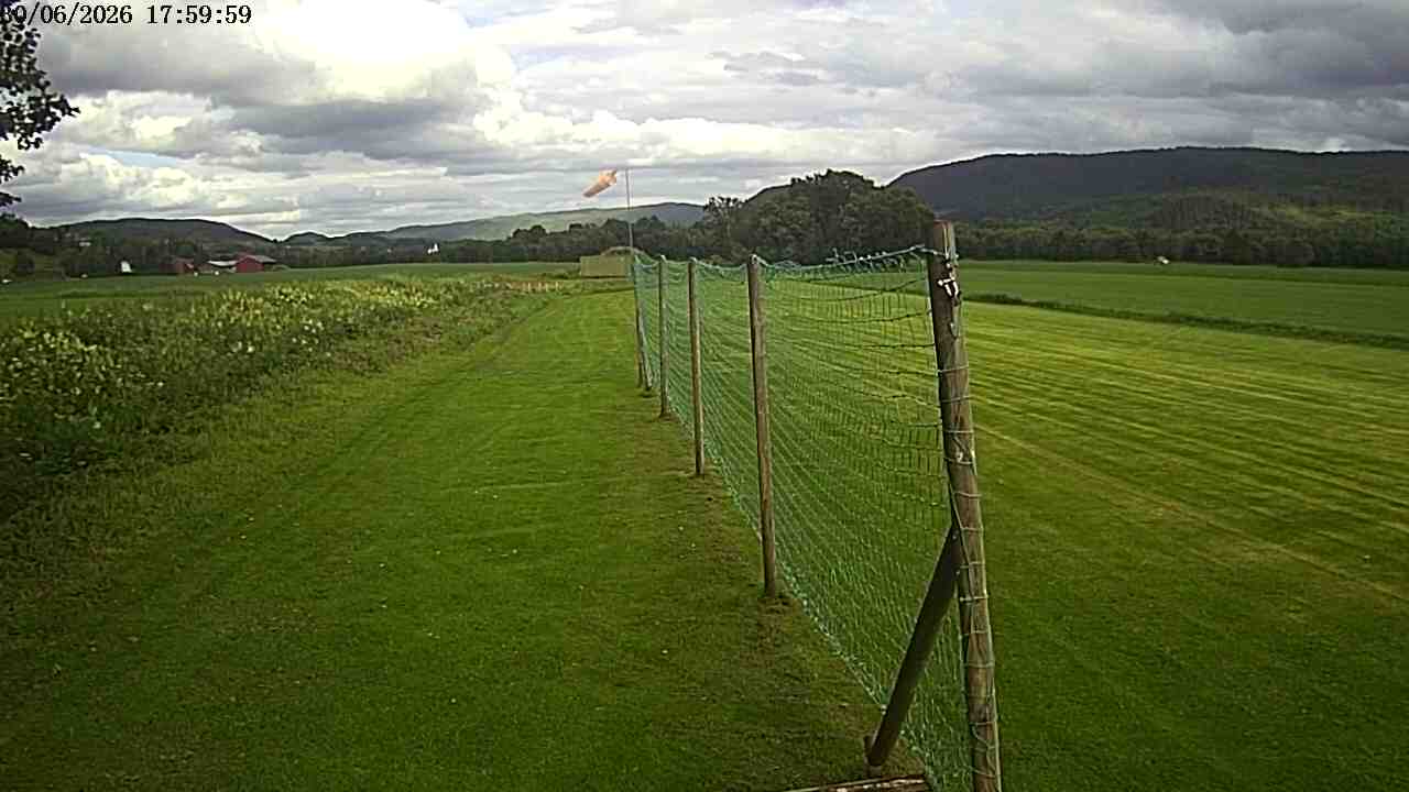 Webcam img missing