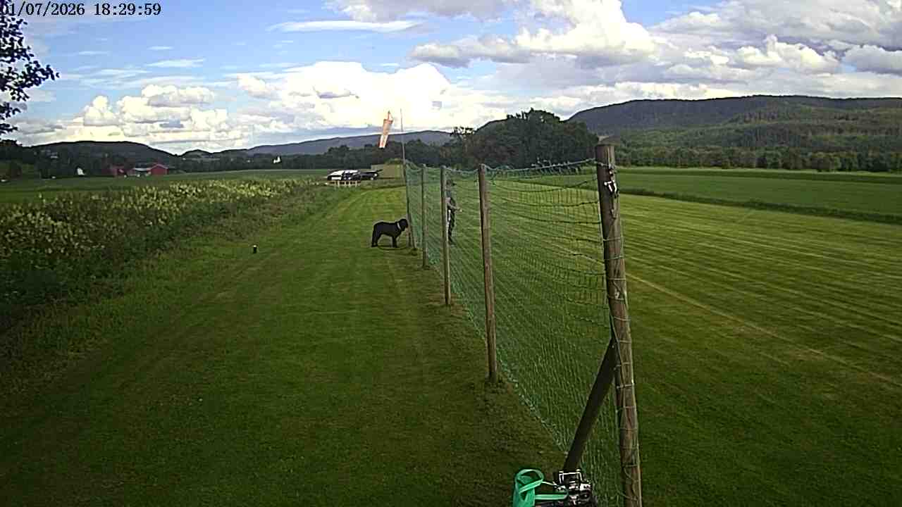Webcam img missing