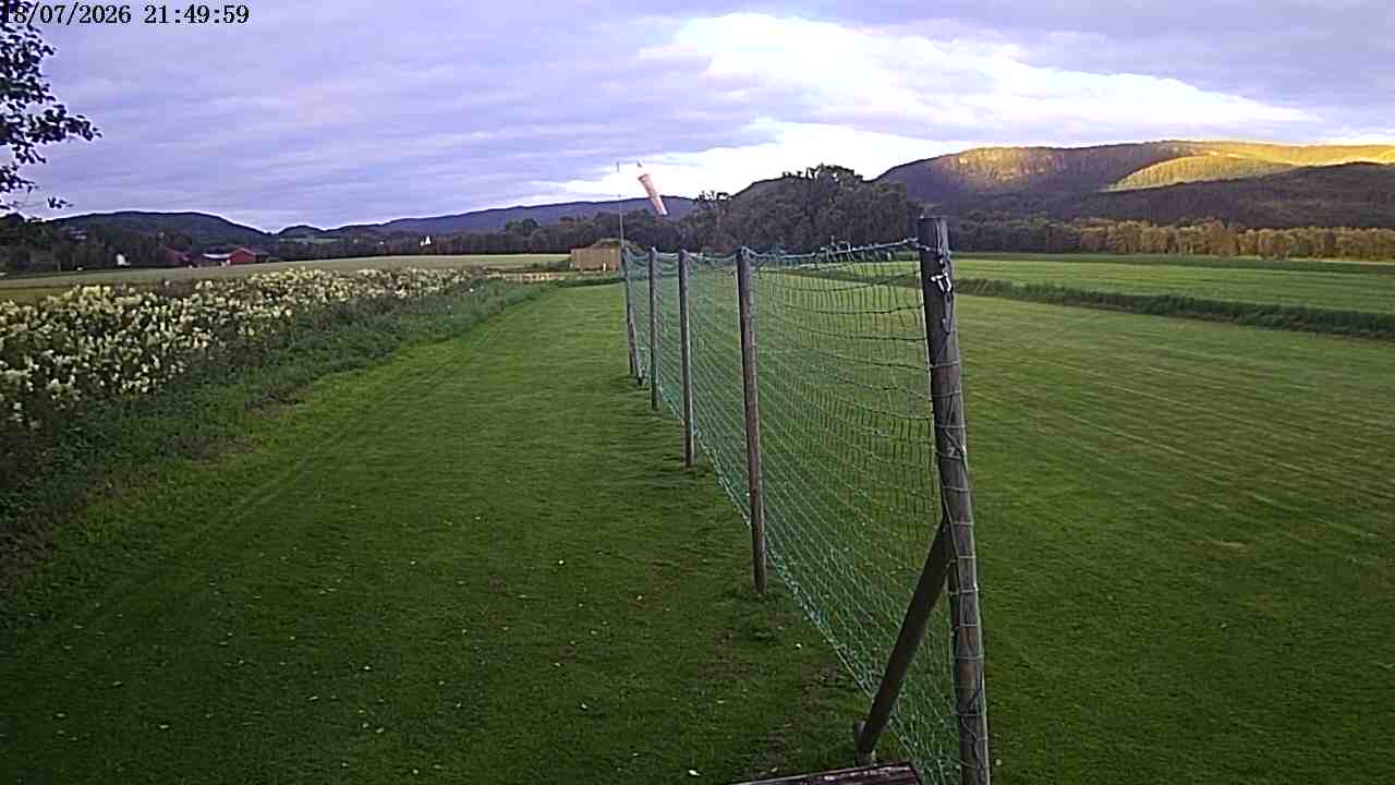Webcam img missing