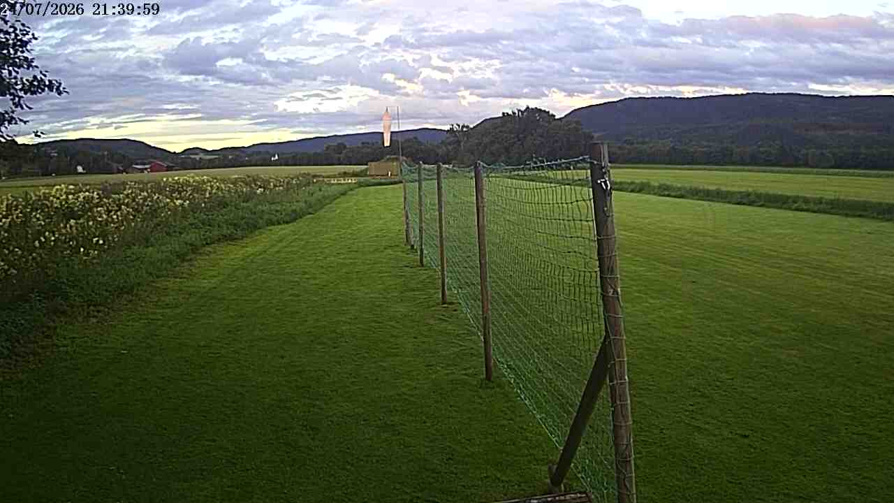 Webcam img missing