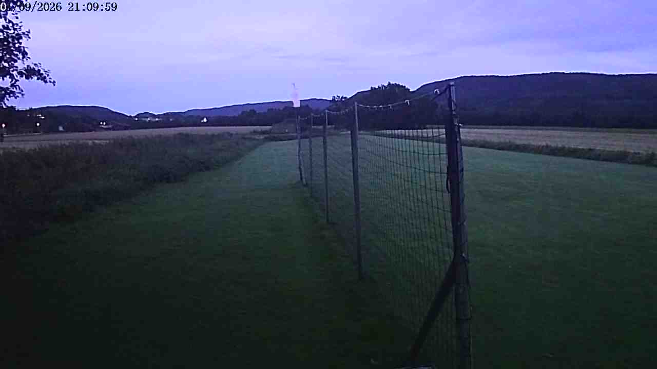 Webcam img missing