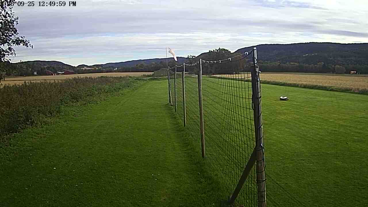 Webcam img missing