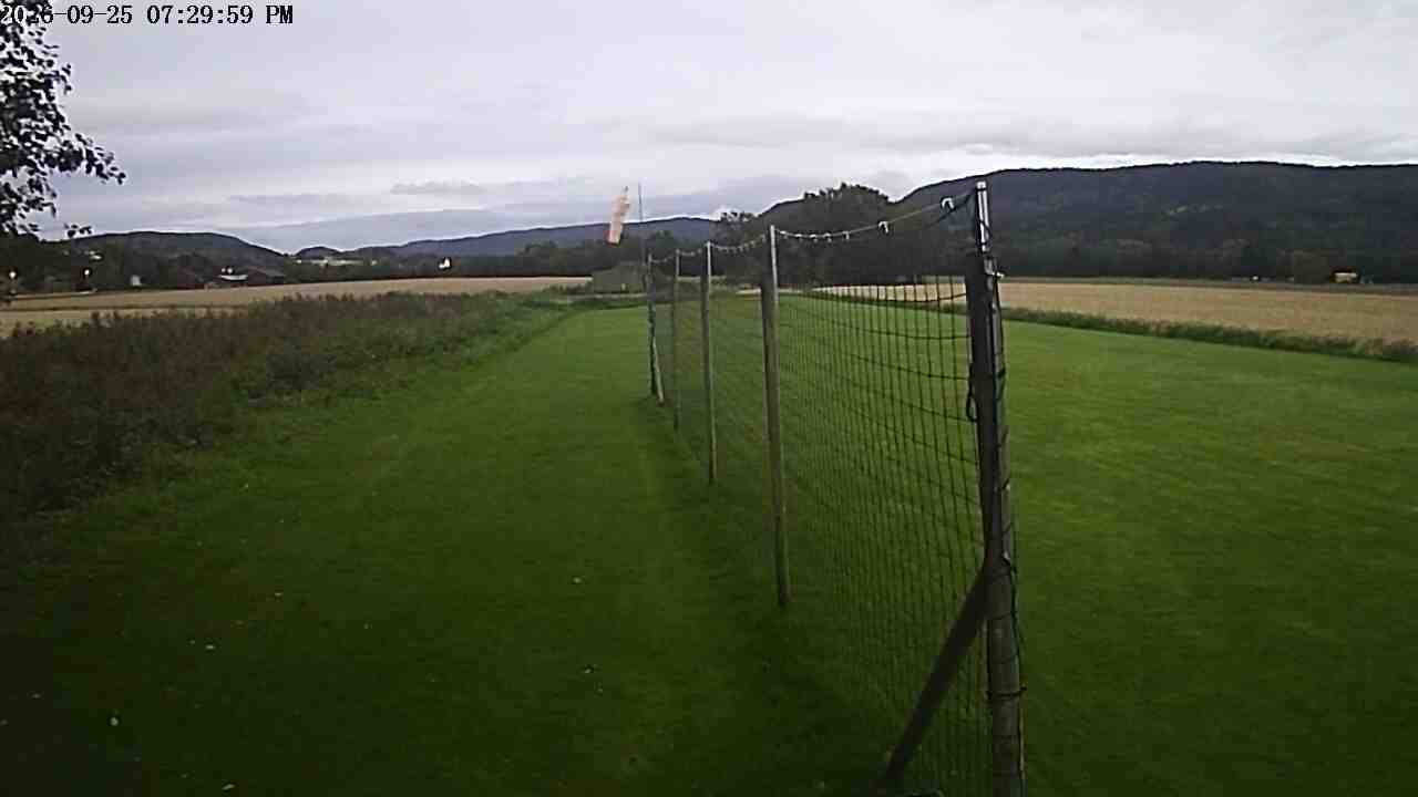 Webcam img missing
