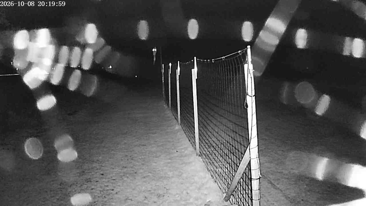 Webcam img missing