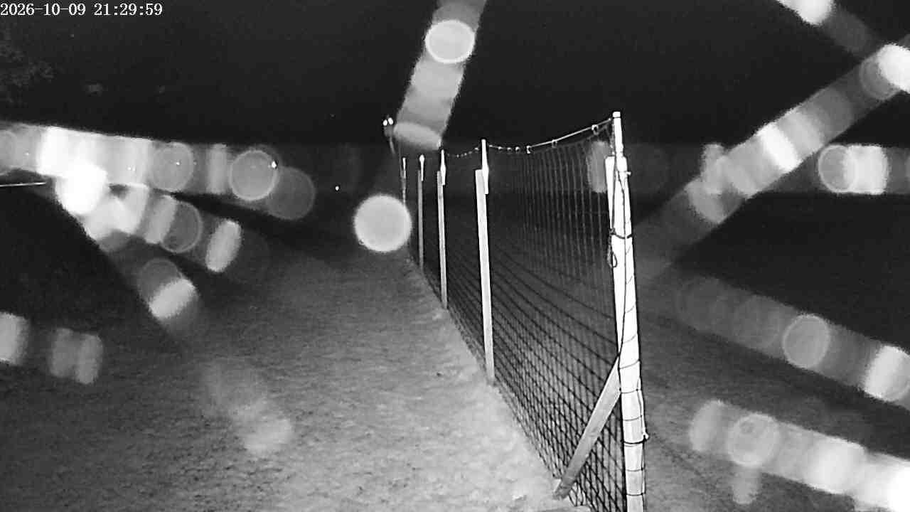 Webcam img missing