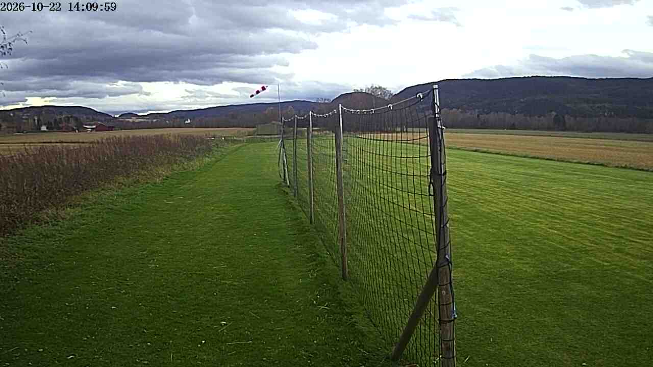 Webcam img missing